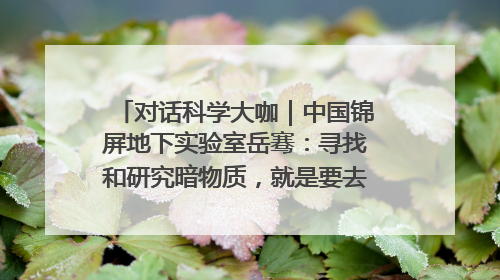 对话科学大咖｜中国锦屏地下实验室岳骞：寻找和研究暗物质，就是要去突破人类的认知边界