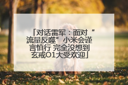 对话雷军：面对“流量反噬”小米会谨言慎行 完全没想到玄戒O1大受欢迎