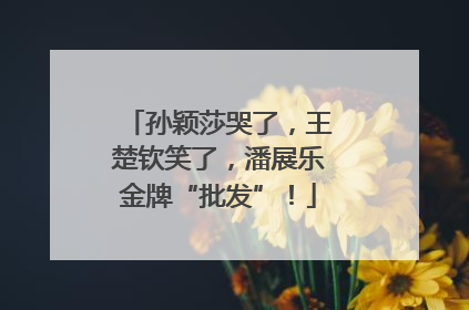 孙颖莎哭了，王楚钦笑了，潘展乐金牌“批发”！