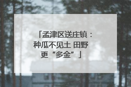 孟津区送庄镇：种瓜不见土 田野更“多金”