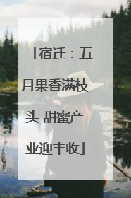 宿迁：五月果香满枝头 甜蜜产业迎丰收