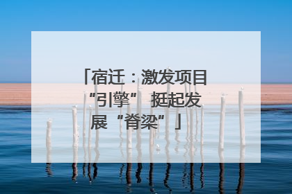 宿迁：激发项目“引擎” 挺起发展“脊梁”