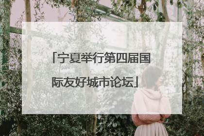 宁夏举行第四届国际友好城市论坛