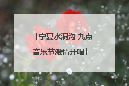 宁夏水洞沟 九点音乐节激情开唱