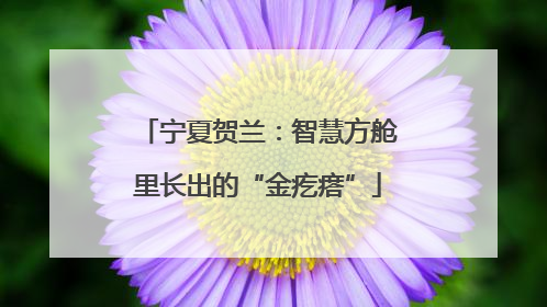宁夏贺兰：智慧方舱里长出的“金疙瘩”