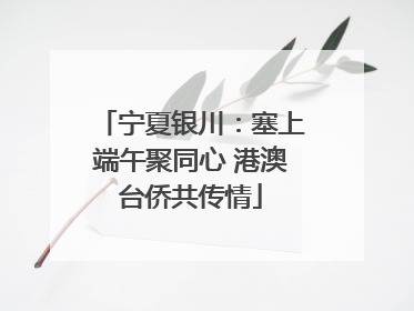 宁夏银川：塞上端午聚同心 港澳台侨共传情