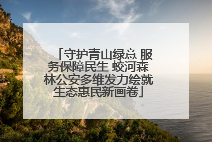 守护青山绿意 服务保障民生 蛟河森林公安多维发力绘就生态惠民新画卷