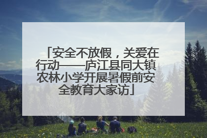 安全不放假，关爱在行动——庐江县同大镇农林小学开展暑假前安全教育大家访