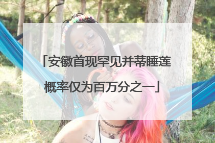 安徽首现罕见并蒂睡莲 概率仅为百万分之一