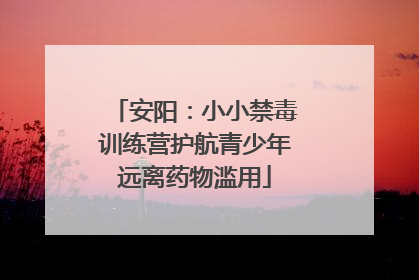 安阳：小小禁毒训练营护航青少年远离药物滥用