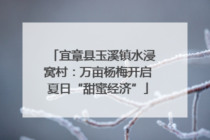 宜章县玉溪镇水浸窝村：万亩杨梅开启夏日“甜蜜经济”