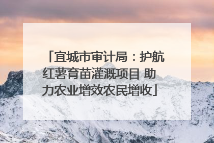 宜城市审计局：护航红薯育苗灌溉项目 助力农业增效农民增收