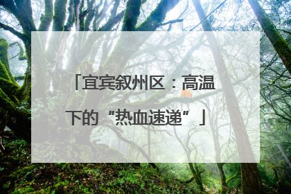 宜宾叙州区：高温下的“热血速递”