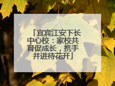 宜宾江安下长中心校：家校共育促成长，携手并进待花开