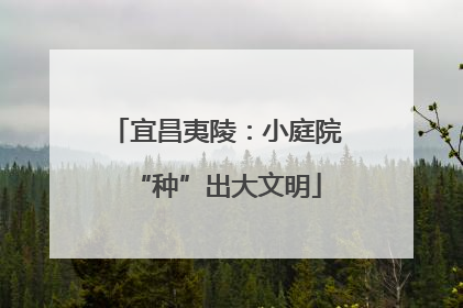 宜昌夷陵：小庭院“种”出大文明