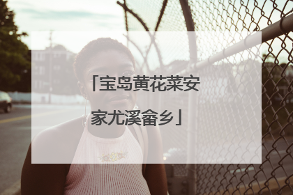 宝岛黄花菜安家尤溪畲乡