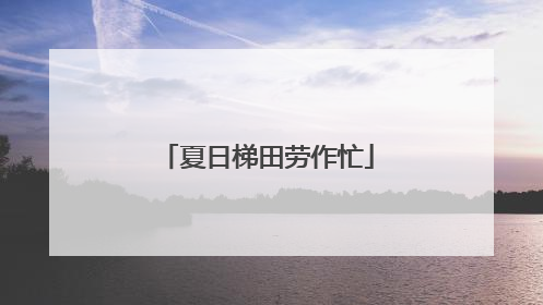 夏日梯田劳作忙
