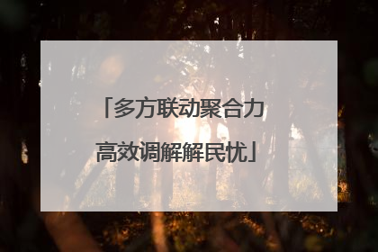 多方联动聚合力 高效调解解民忧