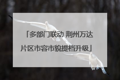 多部门联动 荆州万达片区市容市貌提档升级