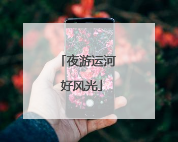 夜游运河好风光