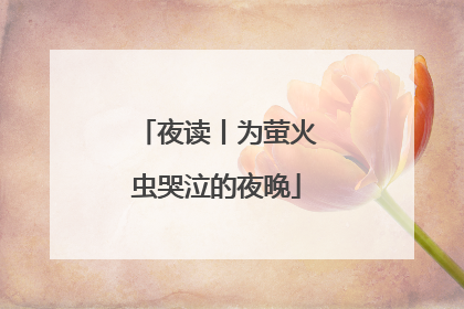 夜读丨为萤火虫哭泣的夜晚