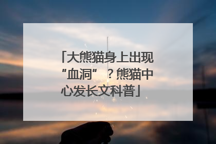 大熊猫身上出现“血洞”？熊猫中心发长文科普