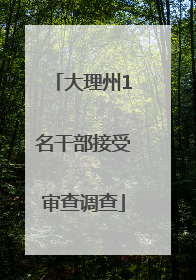 大理州1名干部接受审查调查
