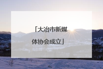 大冶市新媒体协会成立