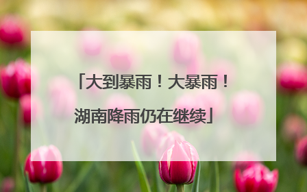 大到暴雨！大暴雨！湖南降雨仍在继续