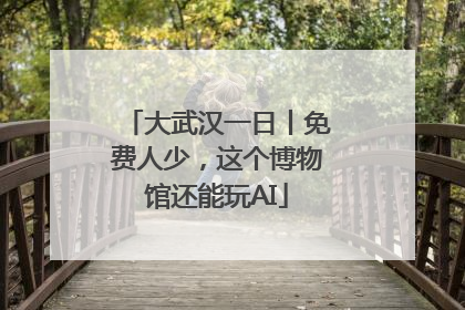 大武汉一日丨免费人少，这个博物馆还能玩AI
