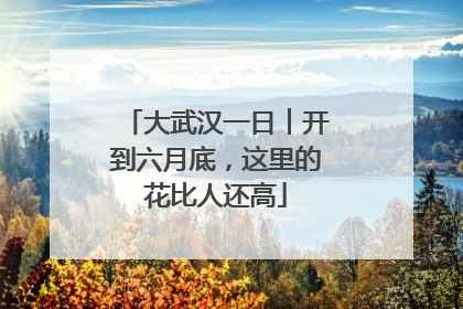 大武汉一日︱开到六月底，这里的花比人还高