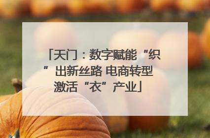 天门：数字赋能“织”出新丝路 电商转型激活“衣”产业