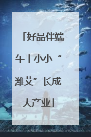 好品伴端午丨小小“潍艾”长成大产业