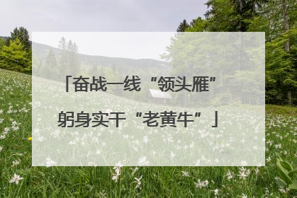 奋战一线“领头雁” 躬身实干“老黄牛”