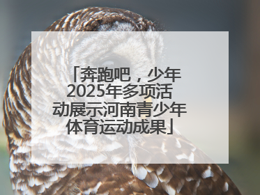 奔跑吧，少年 2025年多项活动展示河南青少年体育运动成果
