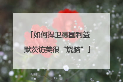如何捍卫德国利益 默茨访美很“烧脑”
