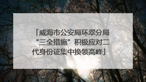 威海市公安局环翠分局“三全措施”积极应对二代身份证集中换领高峰