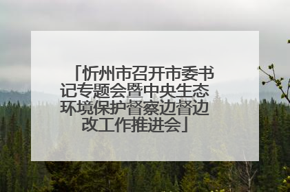 忻州市召开市委书记专题会暨中央生态环境保护督察边督边改工作推进会