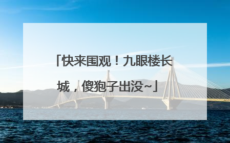 快来围观！九眼楼长城，傻狍子出没~