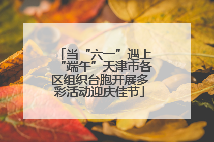 当“六一”遇上“端午”天津市各区组织台胞开展多彩活动迎庆佳节