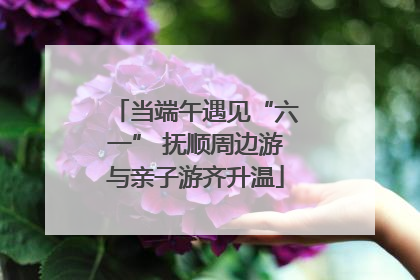 当端午遇见“六一” 抚顺周边游与亲子游齐升温