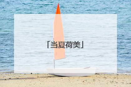 当夏荷美