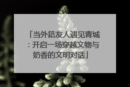 当外籍友人遇见青城：开启一场穿越文物与奶香的文明对话