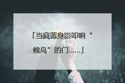 当藏蓝身影叩响“候鸟”的门……