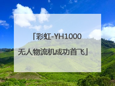 彩虹-YH1000无人物流机成功首飞