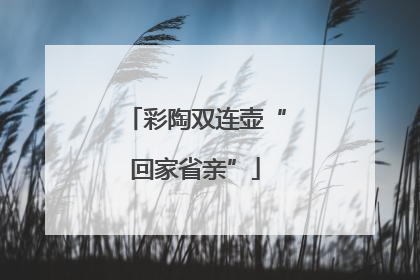 彩陶双连壶“回家省亲”
