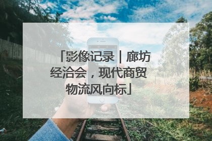 影像记录｜廊坊经洽会，现代商贸物流风向标