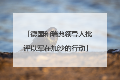 德国和瑞典领导人批评以军在加沙的行动