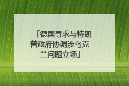 德国寻求与特朗普政府协调涉乌克兰问题立场