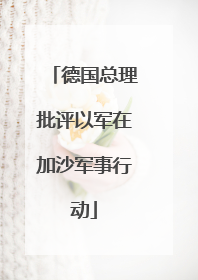 德国总理批评以军在加沙军事行动